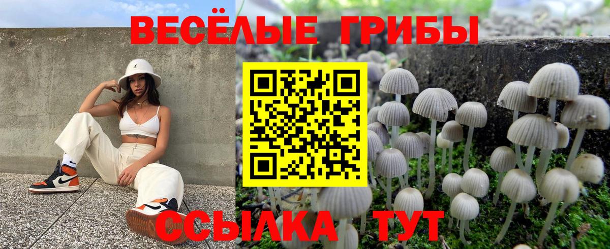 Ликино-Дулёво  Псилоцибиновые грибы Psilocybe  даркнет сайт  Галлюциногенные грибы Psilocybine cubensis  Вход с VPN 