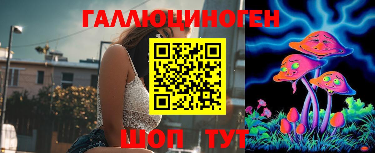 Галлюциногенные грибы Psilocybe Ликино-Дулёво